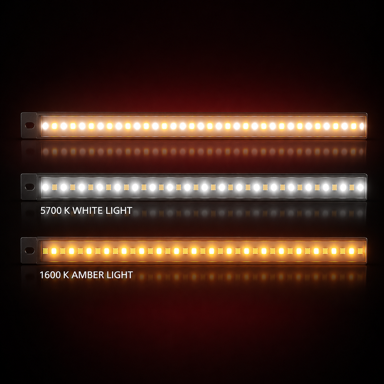 Camping Lights